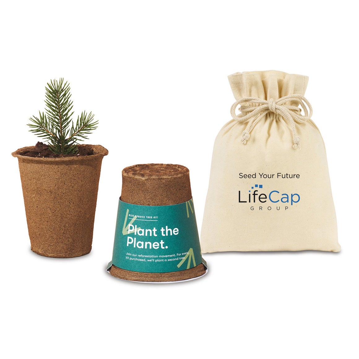 Tree Grow Kit Sycamore or Spruce USA Made Eco Promotional Products